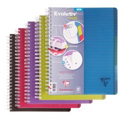 Schrift Linicolor Evolutiv'Book A4+ geruit 5x5