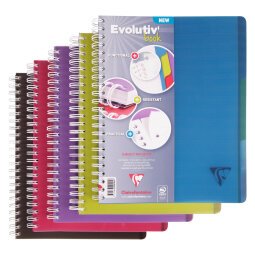 Notebook Linicolor Evolutiv'Book A4+ checked 5x5