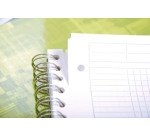 Cahier spirales Clairefontaine Bind'o block A4+ 22,5 x 29,7 cm perforé - petits carreaux - 160 pages