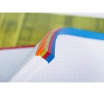 Cahier spirales Clairefontaine Bind'o block A4+ 22,5 x 29,7 cm perforé - petits carreaux - 160 pages