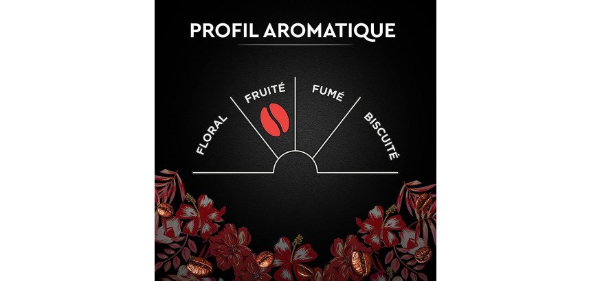 Café moulu sélection Honduras Carte Noire - paquet de 250 g