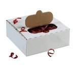 Lien transparent pour fermeture sachets – carton de 2000