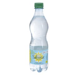 Eau gazeuse Salvetat 50 cl - 24 bouteilles