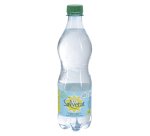 Eau gazeuse Salvetat bouteille 50 cl - Carton de 24