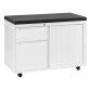 Mobile side cabinet white with cushion Handle 