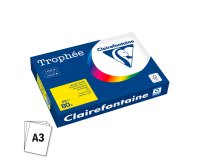 Riem 500 bladen A3 80g Clairefontaine Trophée intens