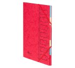 Sorter Extendos 7 divisions color