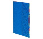 Trieur carte Emey Eco 12 divisions couleur