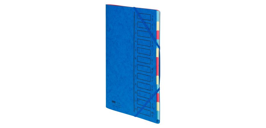 Trieur carte Emey Eco 12 divisions couleur