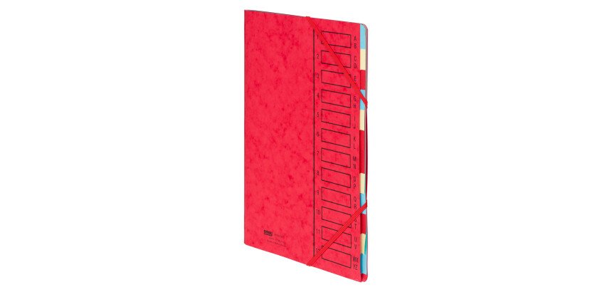 Trieur carte Emey Eco 12 divisions couleur
