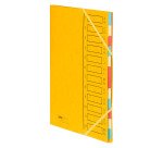 Trieur carte Emey Eco 12 divisions couleur