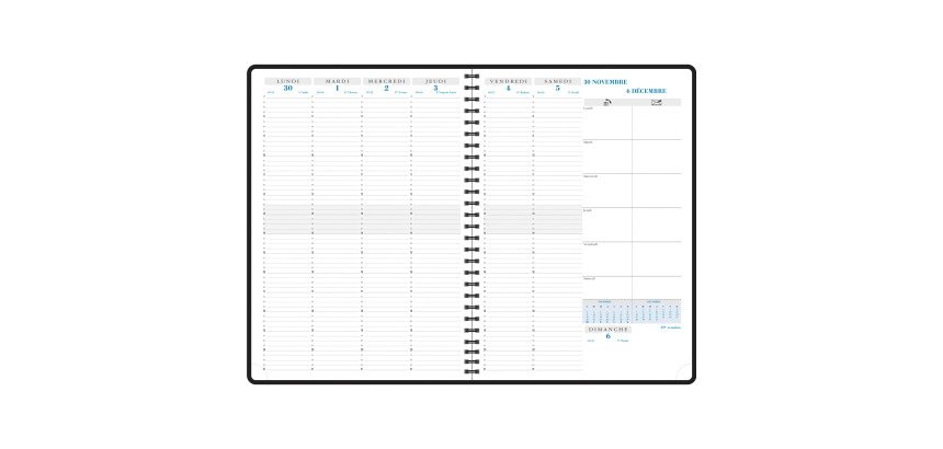 Diary Exacompta Consultation W weekplanner - year 2019 - 21 x 29,7 cm