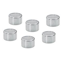 Set 6 magneten 10 mm zilver