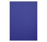 Paquet de 100 couvertures Grain cuir pour reliure A4 Exacompta