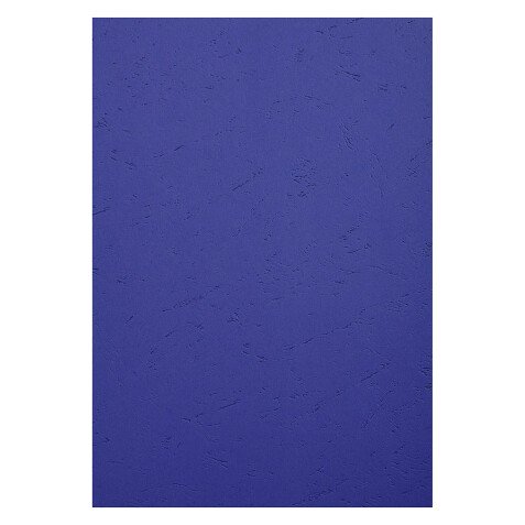 Couverture de reliure grain cuir 270 g Exacompta - Boite de 100