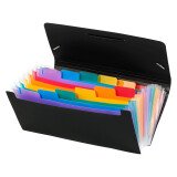 Trieur plastique format chèque 12 onglets Rainbow Viquel