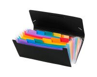 Sorteerder in plastic formaat bankcheques Rainbow Viquel 