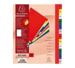 Intercalaire A4+ polypropylène couluer Exacompta 12 onglets mensuels multicolores - 1 jeu
