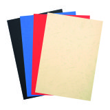 Pack von 100 Deckblättern mit Ledernarbung Exacompta - Box von 100 Sortiment