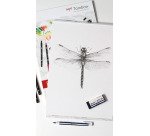 Gomme Mono Dust Catch Tombow