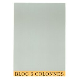 Bloc de contrôle comptable 6 colonnes Exacompta 5706E