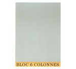 Bloc de contrôle comptable 6 colonnes Exacompta 5706E