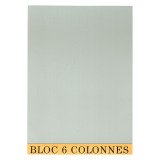 Bloc de contrôle comptable 6 colonnes Exacompta 5706E