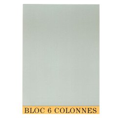 Bloc de contrôle comptable 6 colonnes Exacompta 5706E