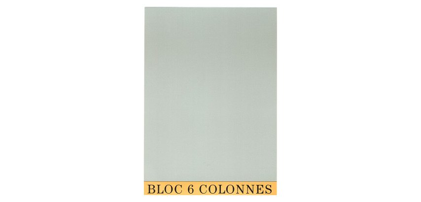Bloc de contrôle comptable 6 colonnes Exacompta 5706E