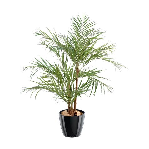 Artificial plant for inside palm Areca 170 cm 