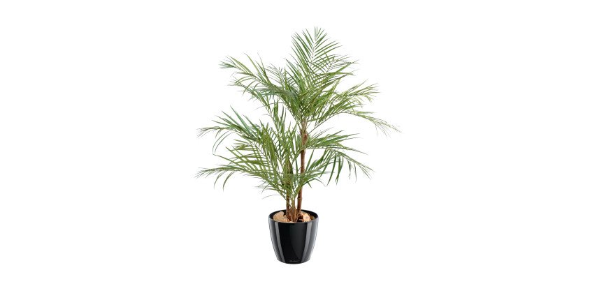 Plante artificielle d'intérieur palmier Aréca 170 cm