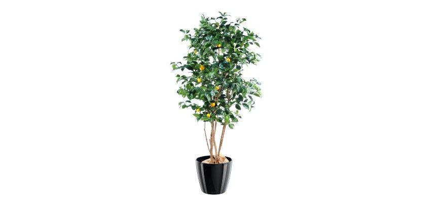 Plante artificielle d'intérieur Citronnier 180 cm