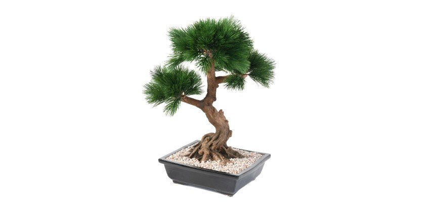 Plante artificielle d'intérieur Bonsaï Pin en coupe 70 cm