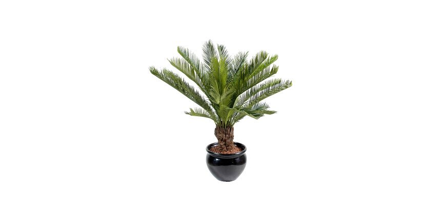 Plante artificielle d'intérieur Cycas Tronc 90 cm