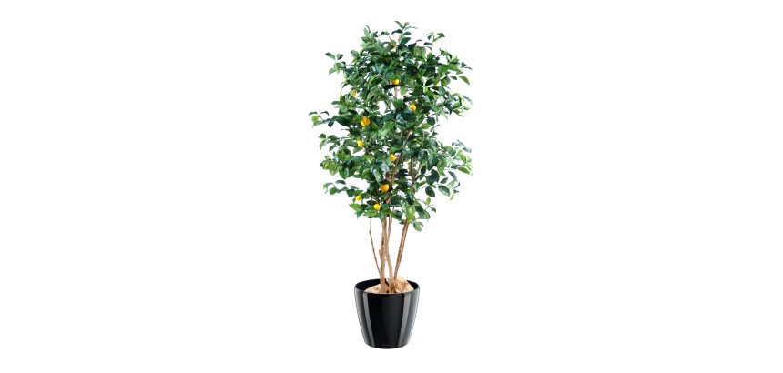 Plante artificielle d'intérieur Citronnier 150 cm