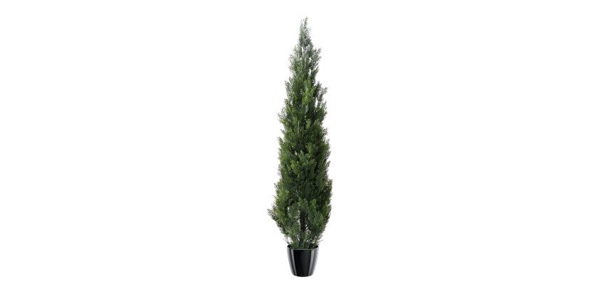 Plante artificielle d'intérieur Cyprès 180 cm