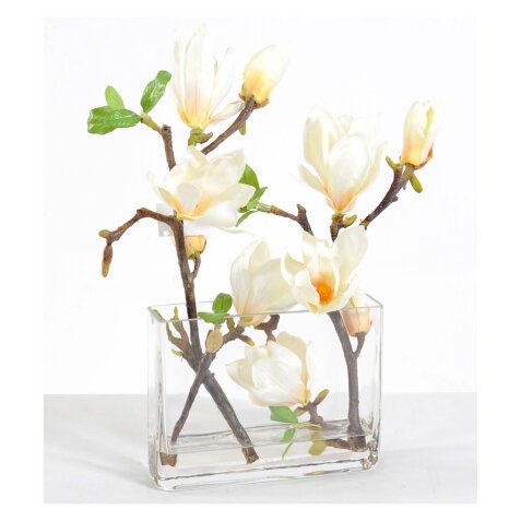 Zimmerpflanze Zweige von weißer Magnolie + langgestreckte Vase 