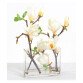 Zimmerpflanze Zweige von weißer Magnolie + langgestreckte Vase 