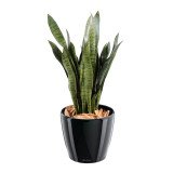 Plante artificielle d'intérieur Sansevieria 93 cm