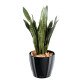 Artificial plant for inside Sansevieria 93 cm