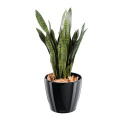 Kunstplant voor binnen Sansevieria 93 cm 