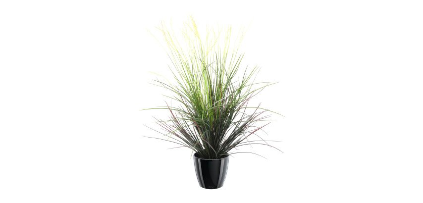 Plante artificielle graminée en fleur 80 cm