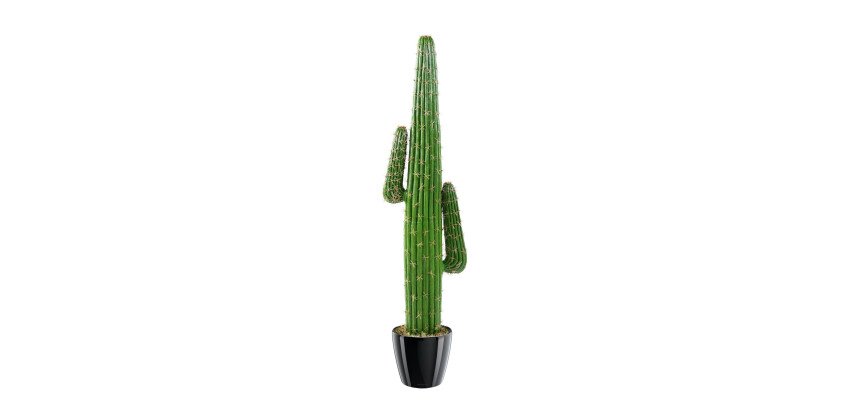 Cactus vert artificiel d'intérieur hauteur 145 cm