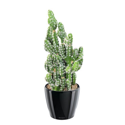 Kunstplant cactus 35 cm 