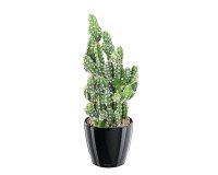 Kunstplant cactus 35 cm 