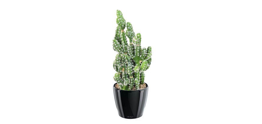 Cactus artificiel 35 cm