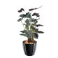 Plante artificielle d'intérieur Alocasia 110 cm