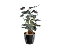Kunstplant voor binnen Alocasia 110 cm 