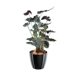 Kunstplant voor binnen Alocasia 110 cm 