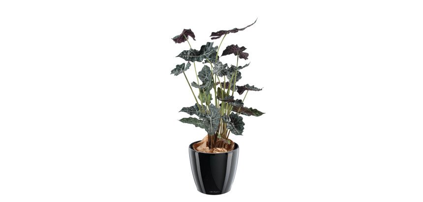 Plante artificielle d'intérieur Alocasia 110 cm